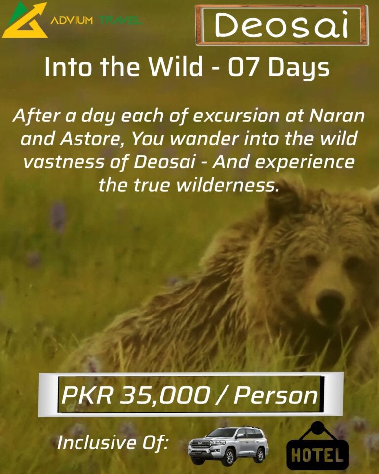 Itineraries Deosai 2